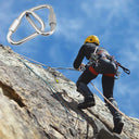 Delta Quick Links 3/16" Stainless Steel T316 Triangle Carabiner 660 Lbs WLL