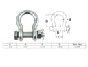Mil Spec Bolt Pin Anchor Shackle Non-Magnetic Drop Forged Stainless Steel T316