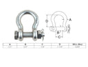 Mil Spec Bolt Pin Anchor Shackle Non-Magnetic Drop Forged Stainless Steel T316