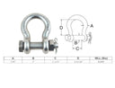 Mil Spec Bolt Pin Anchor Shackle Non-Magnetic Drop Forged Stainless Steel T316