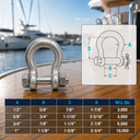 T316 Stainless Steel Bolt Pin Anchor Shackle, Drop Forged Marine Grade Shackle for Chain, Rigging, Lifting, and Boat Hardware