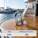T316 Stainless Steel D Chain Shackle with Screw Pin - PACK 5