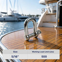T316 Stainless Steel D Chain Shackle with Screw Pin - PACK 5