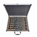 17PC HSS Cobalt Silver & Deming Drill Bits Set, Size 1/2" to 1", Reduced 1/2" Shank