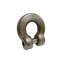 Marine Boat 1/4" G60 Clevis Shackle 1650 Lb WLL T318 LN Stainless Steel