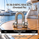 Marine Grade T316 Stainless Steel Bolt Pin Chain Shackle 5 Pack, Heavy Duty Anchor Shackle for Boat, Rigging, Sailing, and Outdoor Hardware