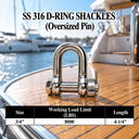 Marine Grade T316 Stainless Steel Bolt Pin Chain Shackle 5 Pack, Heavy Duty Anchor Shackle for Boat, Rigging, Sailing, and Outdoor Hardware