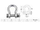 Mil Spec 1/4" Bolt Pin Anchor Shackle 1,000 Lbs WLL Stainless Steel T316