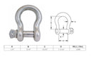 Mil Spec Screw Pin Anchor Shackle T316 Stainless Steel Drop Forged Non-Magnetic