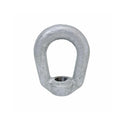 Galvanized 1" Lifting Eye Nut