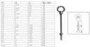 Marine T316 Stainless Steel Fully Threaded Shoulder Eye Bolt