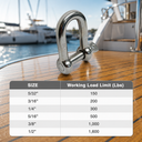 T316 Stainless Steel D Chain Shackle with Screw Pin - PACK 5