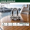Mil-Spec Forged T316 Stainless Steel Marine Round Pin Chain Shackle, Boat Rigging Shackle for Chain, Rope, and Anchor Use