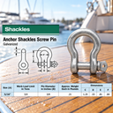 Screw Pin Anchor D Ring Shackle, Galvanized Steel Drop Forged Rigging Connector for Chain, Rope, Cable, and Towing