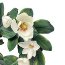 23” Spring Botanical Artificial Magnolia Wreath, Real Touch Silk Floral Farmhouse Door Wreath, Lifelike Magnolia Blossoms for Front Door, Wall Décor & Seasonal Home Decoration