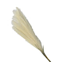 12 Pcs 33” Faux Pampas Grass Stem, Single Artificial Pampas Grass Plume, Tall Boho Neutral Decorative Flower for Home Décor, Farmhouse Vase Filler, Wedding & Table Centerpieces