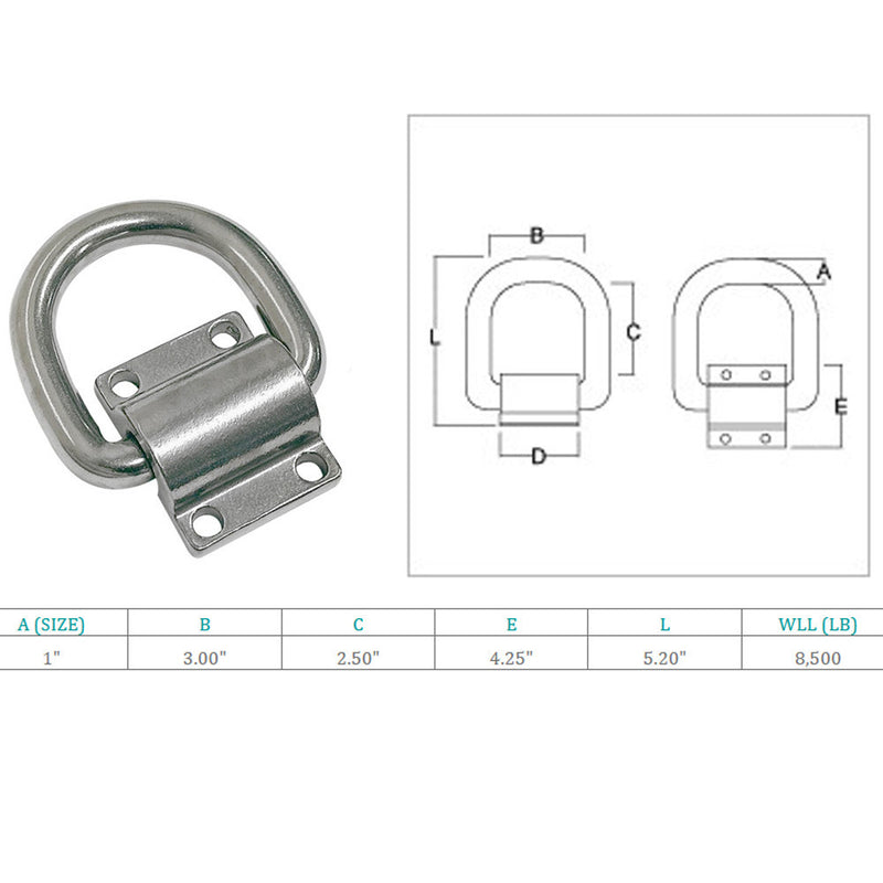 Marine Boat Stainless Steel T316 Bolt-On Lashing Ring D-Ring Anchor Tie Down