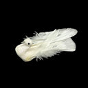 2 Pcs 4.5"L Artificial Peacock Bird Glitter Gems Foam Feather Crafts Christmas Ornament Decorations