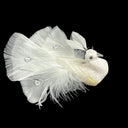 10 Pcs Artificial Peacock Bird Glitter Gems Foam Feather Crafts Christmas Party Decor Ornament Decorations 4.5"L