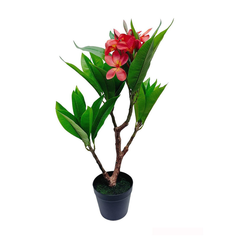 Unique Gorgeous Fuchsia Artificial Plumeria Flower Tree Tropical Plant, 2.25 Ft