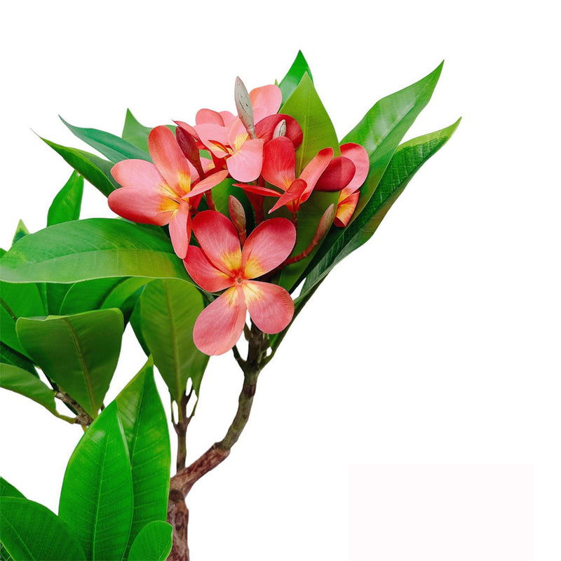 Unique Gorgeous Fuchsia Artificial Plumeria Flower Tree Tropical Plant, 2.25 Ft