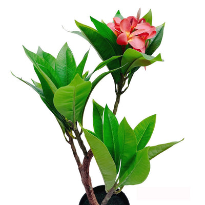 Unique Gorgeous Fuchsia Artificial Plumeria Flower Tree Tropical Plant, 2.25 Ft