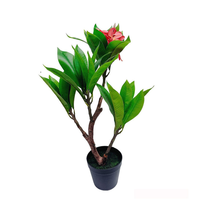 Unique Gorgeous Fuchsia Artificial Plumeria Flower Tree Tropical Plant, 2.25 Ft