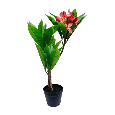 Unique Gorgeous Fuchsia Artificial Plumeria Flower Tree Tropical Plant, 2.25 Ft