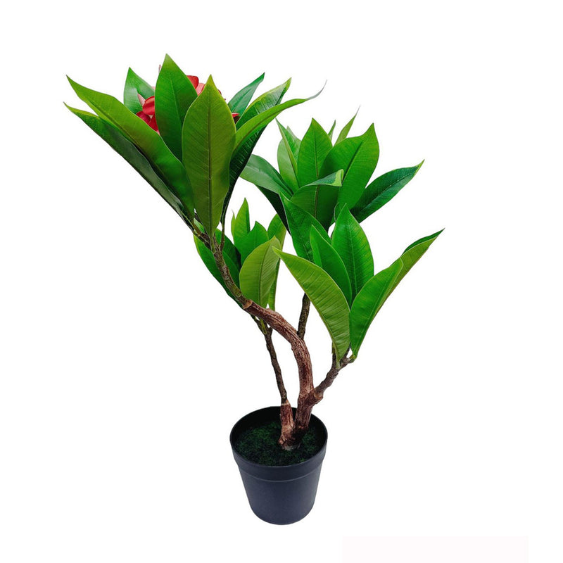 Unique Gorgeous Fuchsia Artificial Plumeria Flower Tree Tropical Plant, 2.25 Ft