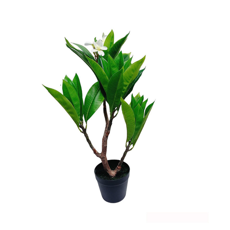 Unique Cream Fuchsia Artificial Plumeria Flower Tree Tropical Plant, 2.25 Ft