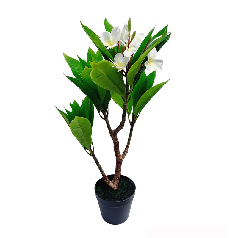 Unique Cream Fuchsia Artificial Plumeria Flower Tree Tropical Plant, 2.25 Ft