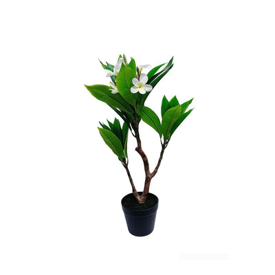 Unique Cream Fuchsia Artificial Plumeria Flower Tree Tropical Plant, 2.25 Ft