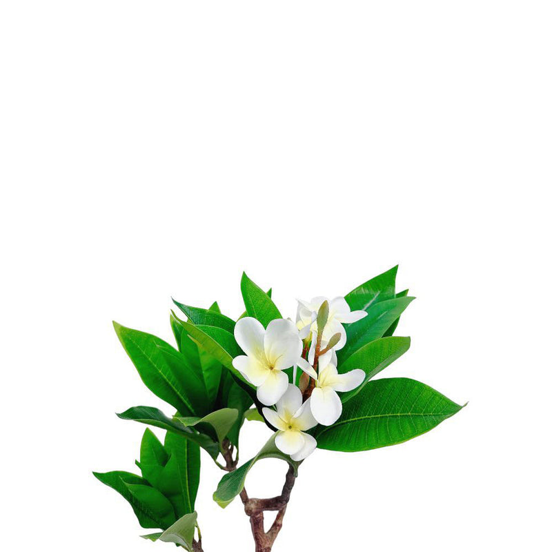 Unique Cream Fuchsia Artificial Plumeria Flower Tree Tropical Plant, 2.25 Ft