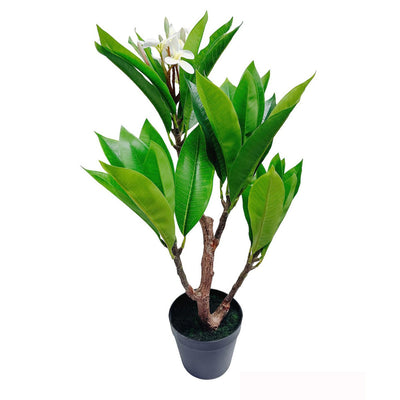 Unique Cream Fuchsia Artificial Plumeria Flower Tree Tropical Plant, 2.25 Ft