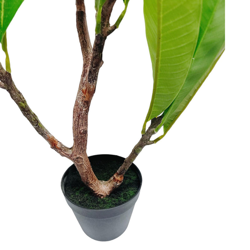 Unique Cream Fuchsia Artificial Plumeria Flower Tree Tropical Plant, 2.25 Ft